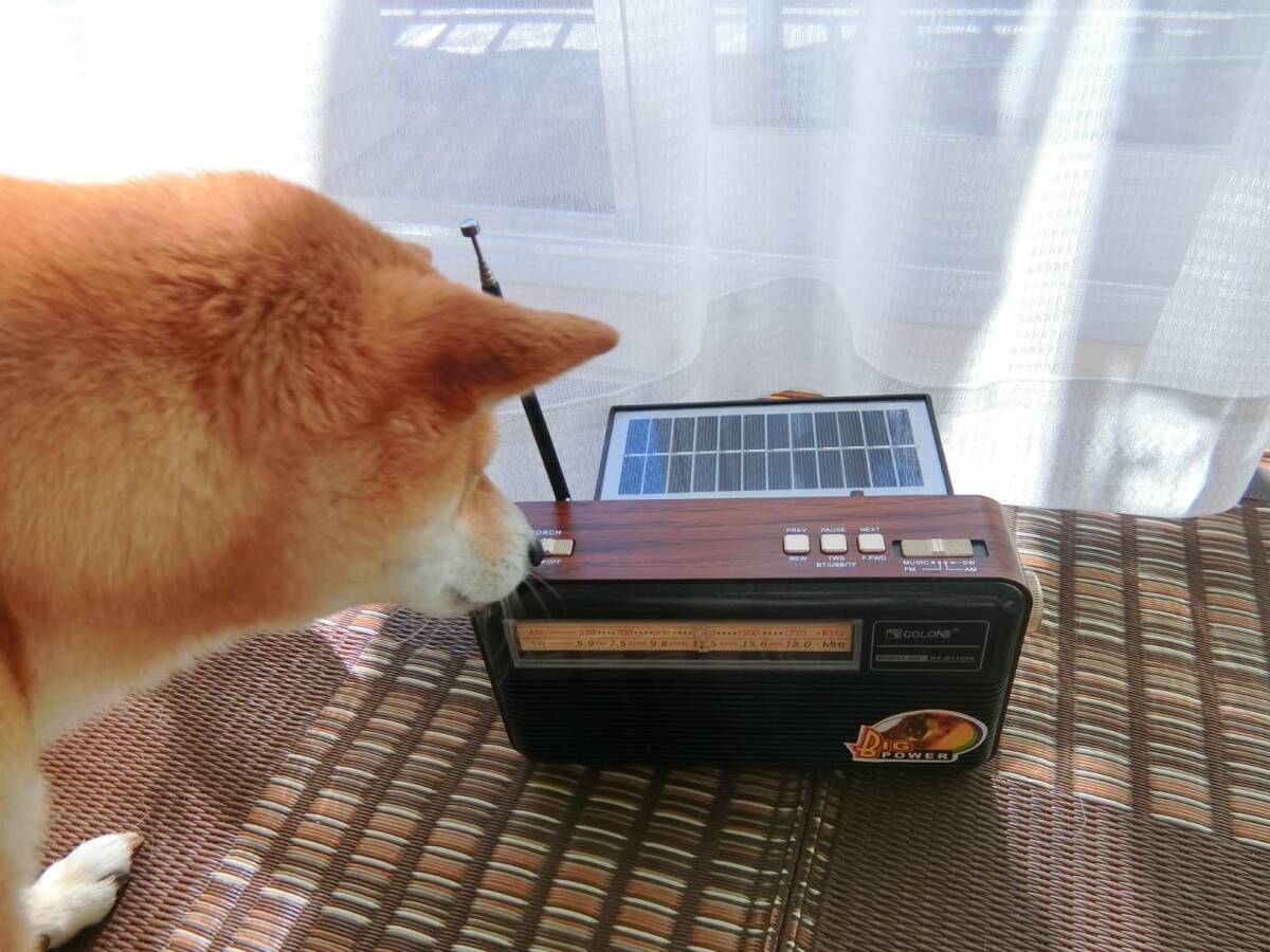 　太陽光充電可能FM/AM/SWラジオ