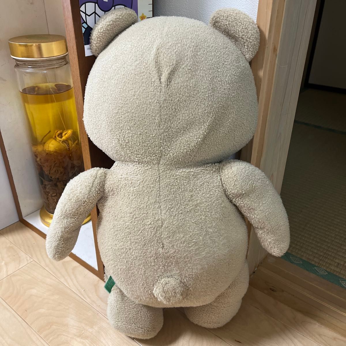 ted ぬいぐるみ