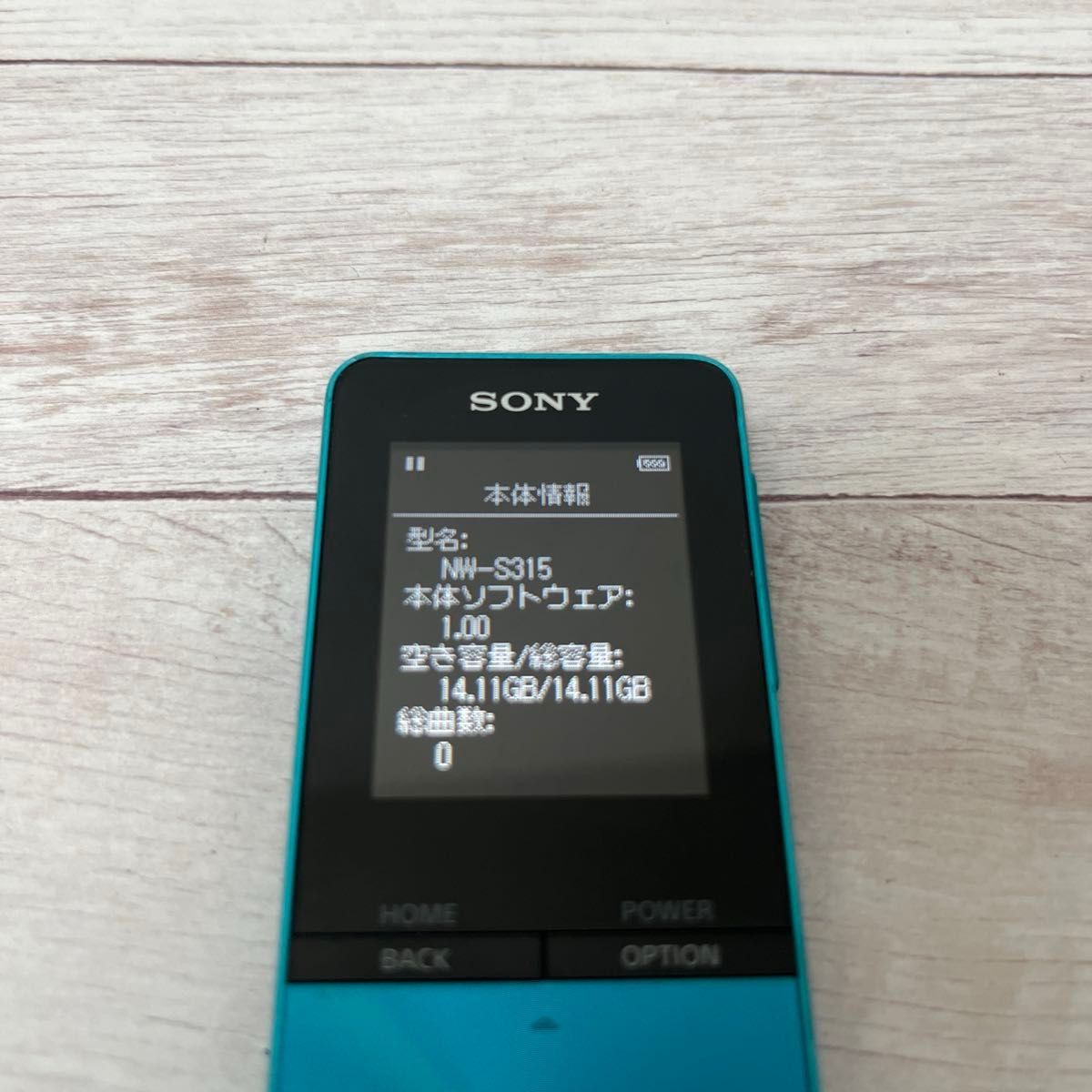 SONY WALKMAN NW-S315  ソニー ウォークマン デジタルミュージックプレーヤー 動作確認済み