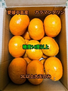 全国送料無料 越冬春みかん カラマンダリン 箱込み2.5kg以上 3L以上15個 60サイズ  愛媛中島産 ③の画像1