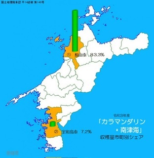 全国送料無料 越冬春みかん 4/28収穫 参考糖度14から18度 カラマンダリン 傷が多い家庭用 箱込み5kg 23の画像6