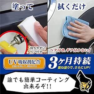 プロスタッフ 洗車用品 未塗装樹脂コーティング剤 魁 磨き塾 ブラックコート 100ml S151 未塗装樹脂&車内ダッシュボード_画像3