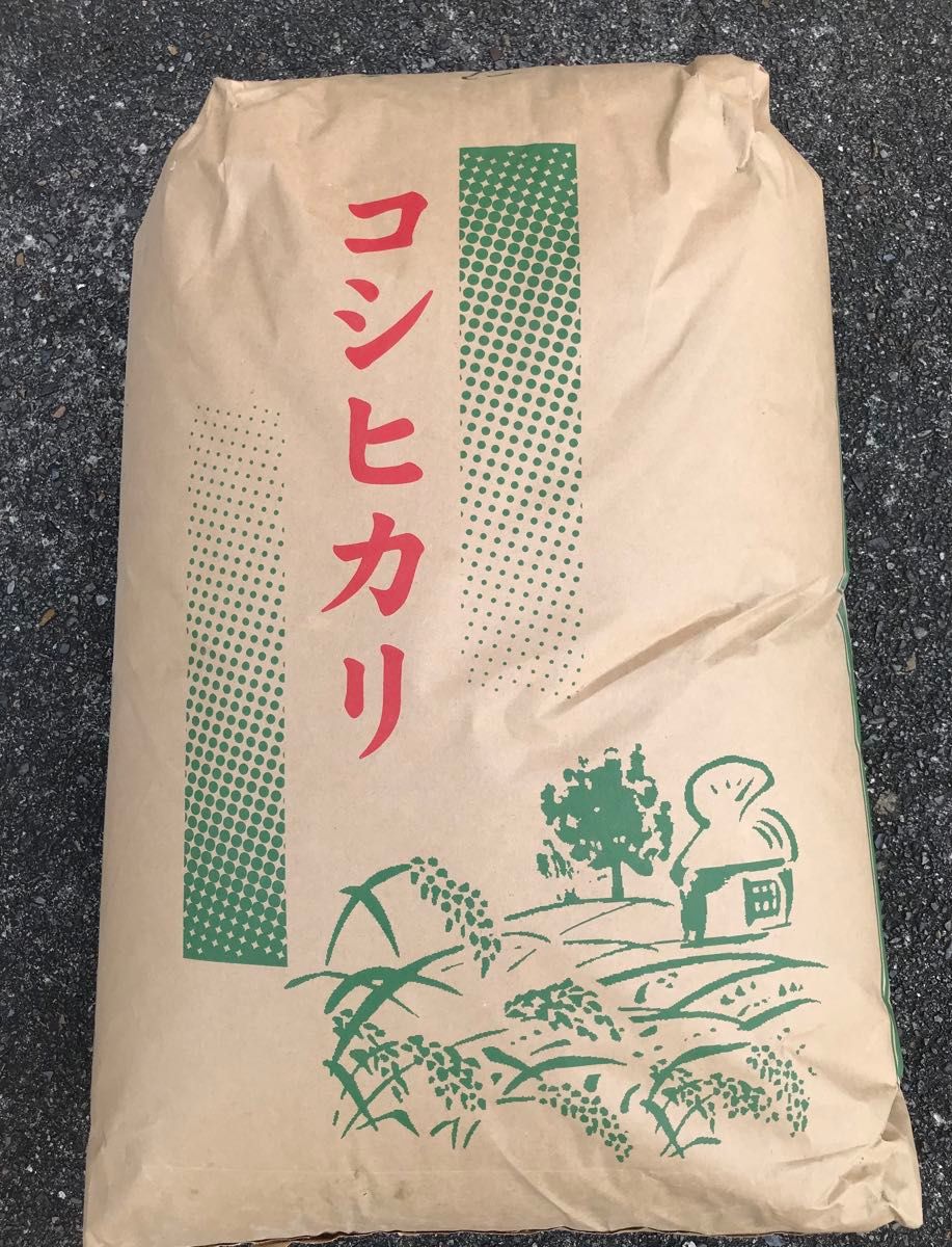 福島県産米 令和５年米 福島県産コシヒカリ米 20kg