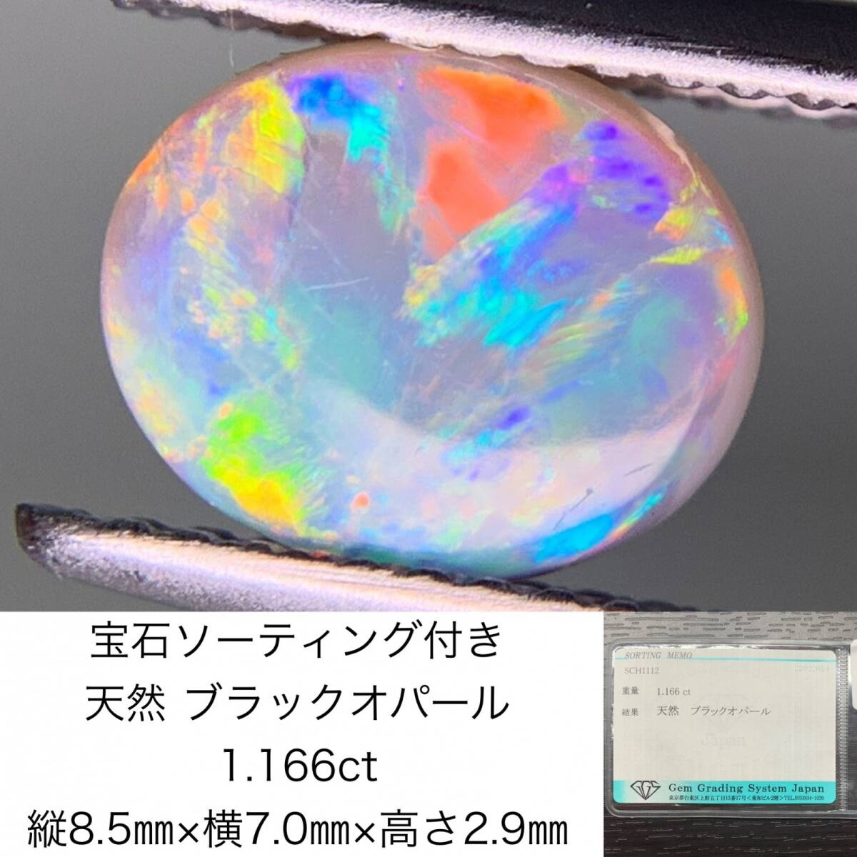 宝石ソーティング付き　 天然 ブラックオパール　1.166ct　 縦8.5×横7.0×高さ2.9　 ルース（ 裸石 ）　 3334Y_画像1