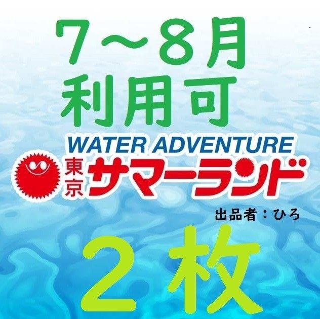 東京サマーランド  1Dayパス　パスポート2枚