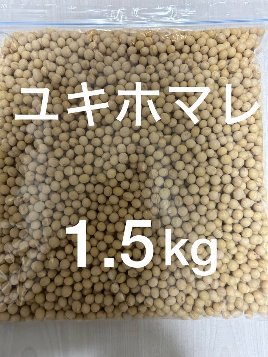 大豆　ユキホマレ　1.5kg 北海道産　令和5年