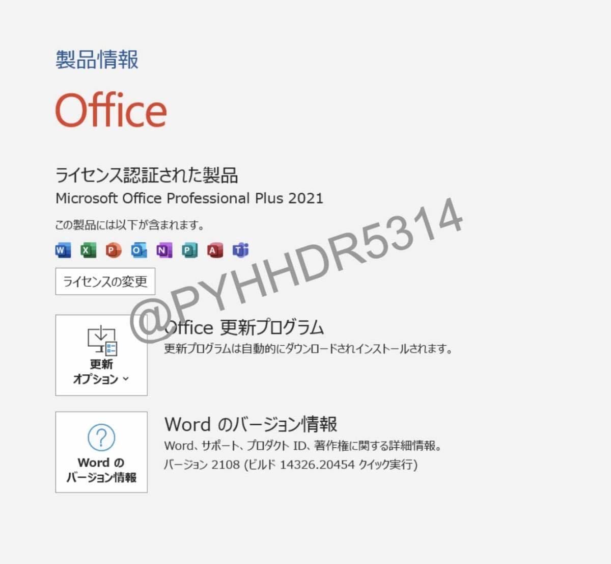 【即対応★Office 2021 正規認証★】Microsoft Office 2021 Professional Plus 永続認証 プロダクトキーの画像3