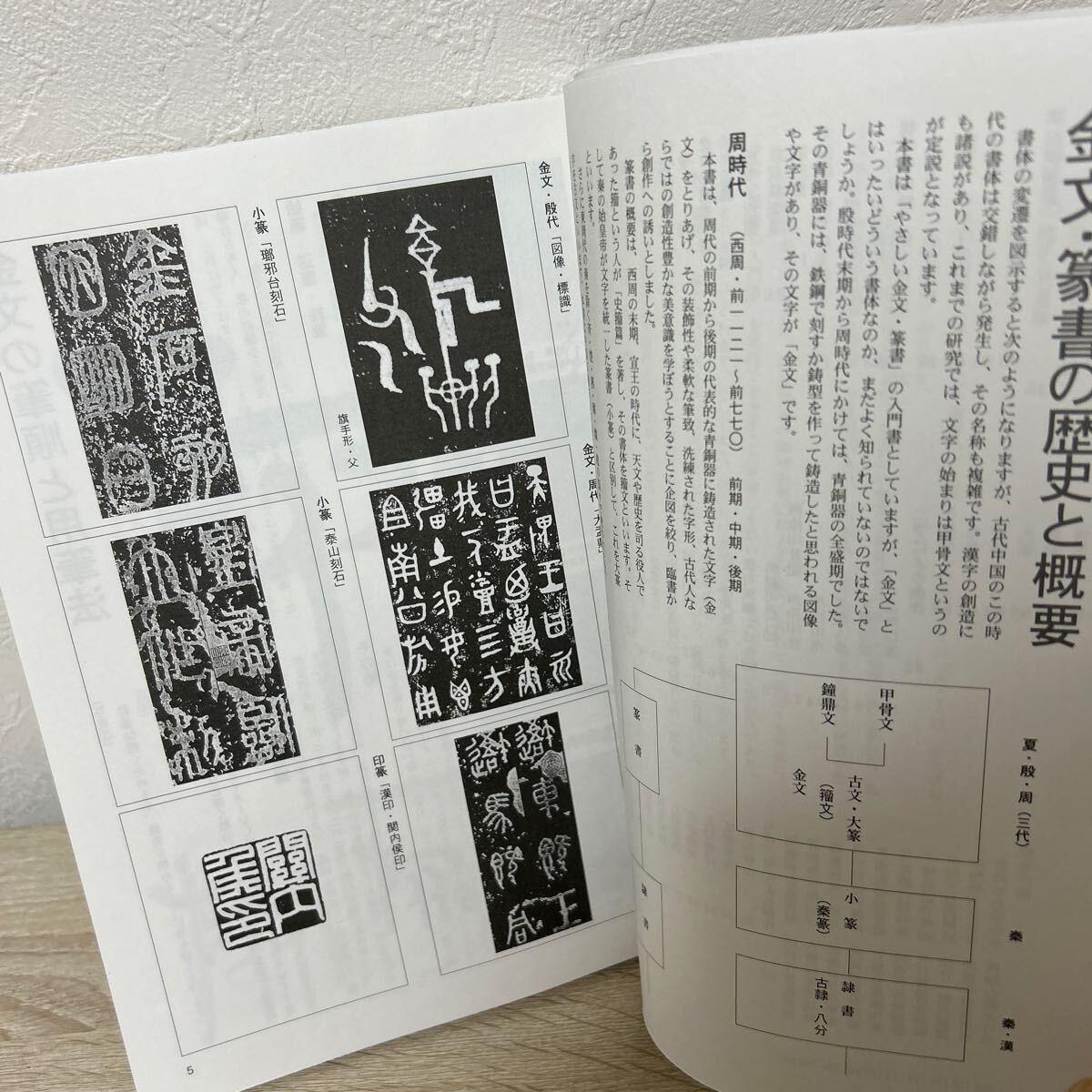 やさしい金文・篆書入門 佐藤平泉／著