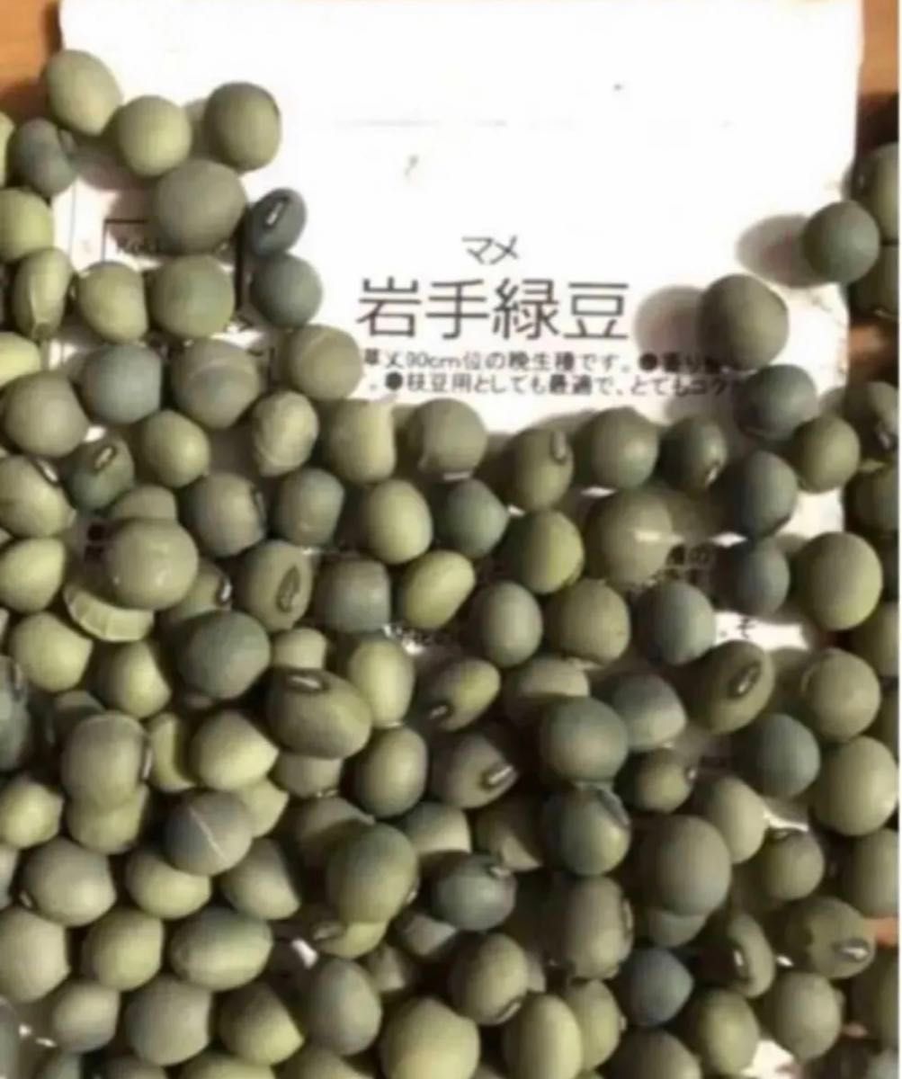 【栽培時農薬不使用】伝統野菜　岩手緑豆　30粒