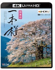 [Blu-Ray]bi com 4K Relaxes japanese 1 psc Sakura [4K*HDR]