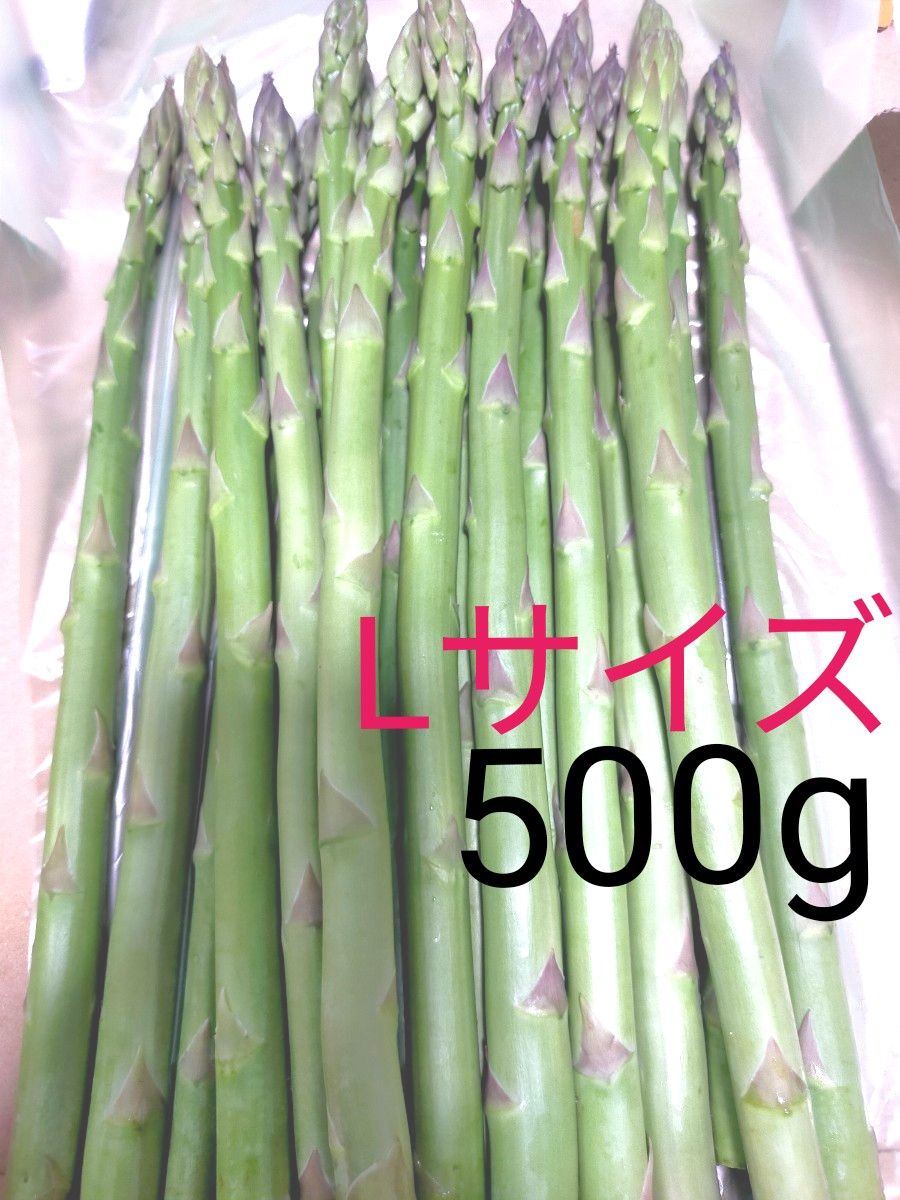 アスパラ　Ｌサイズ　会津産　500g　500グラム　アスパラガス　野菜