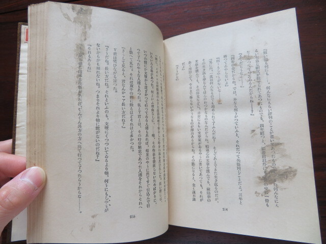 近代の小説　田山花袋　近代文明社　//坪内逍遥夏目漱石森鴎外尾崎紅葉泉鏡花小栗風葉徳田秋声正宗白鳥紀行文学自然主義_画像8