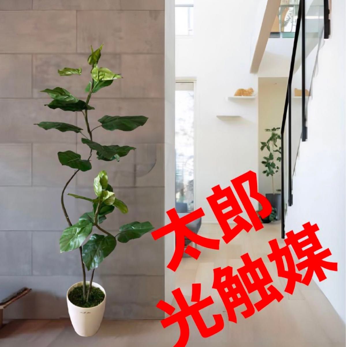 光触媒 人工観葉植物 ウォールグリーン フェイクグリーン 梅の木 光触媒 人工観葉植物 ウォールグリーン フェイクグリーン 梅の木