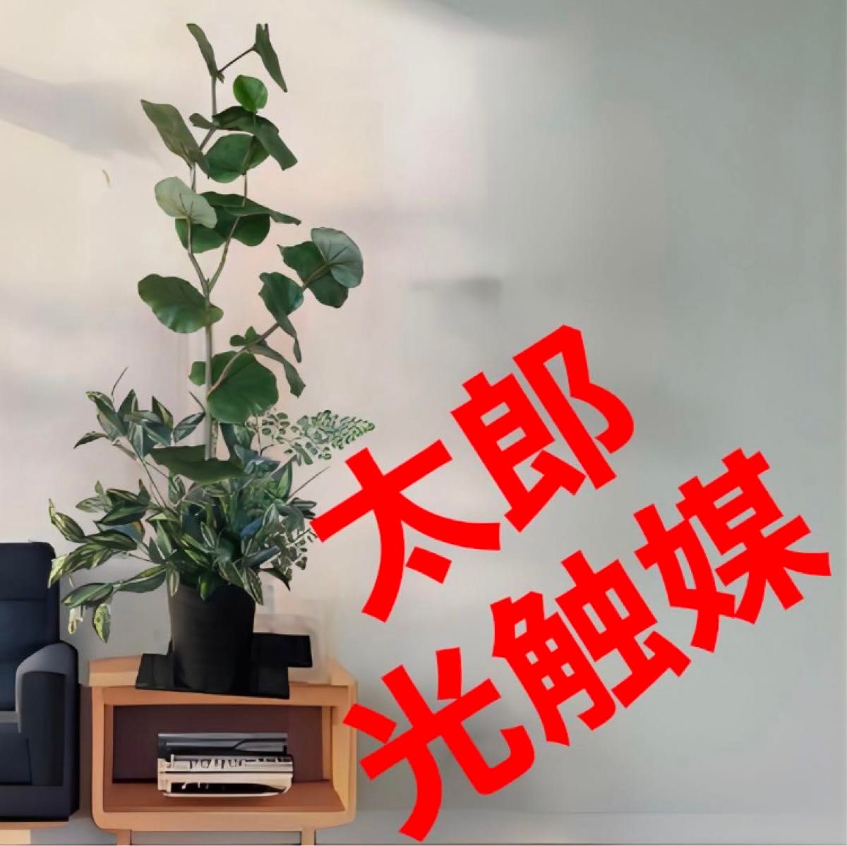 光触媒 人工観葉植物 ウォールグリーン フェイクグリーン 光触媒 人工観葉植物 ウォールグリーン フェイクグリーン