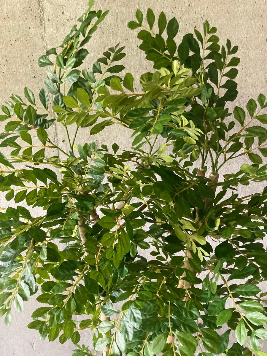 光触媒　人工観葉植物　ウォールグリーン　フェイクグリーン　トネリコ16573