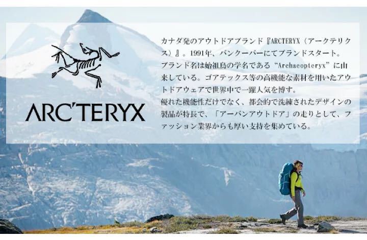 ARC’TERYX Blade28 アークテリクス リュック バックパック USED 黒_画像6