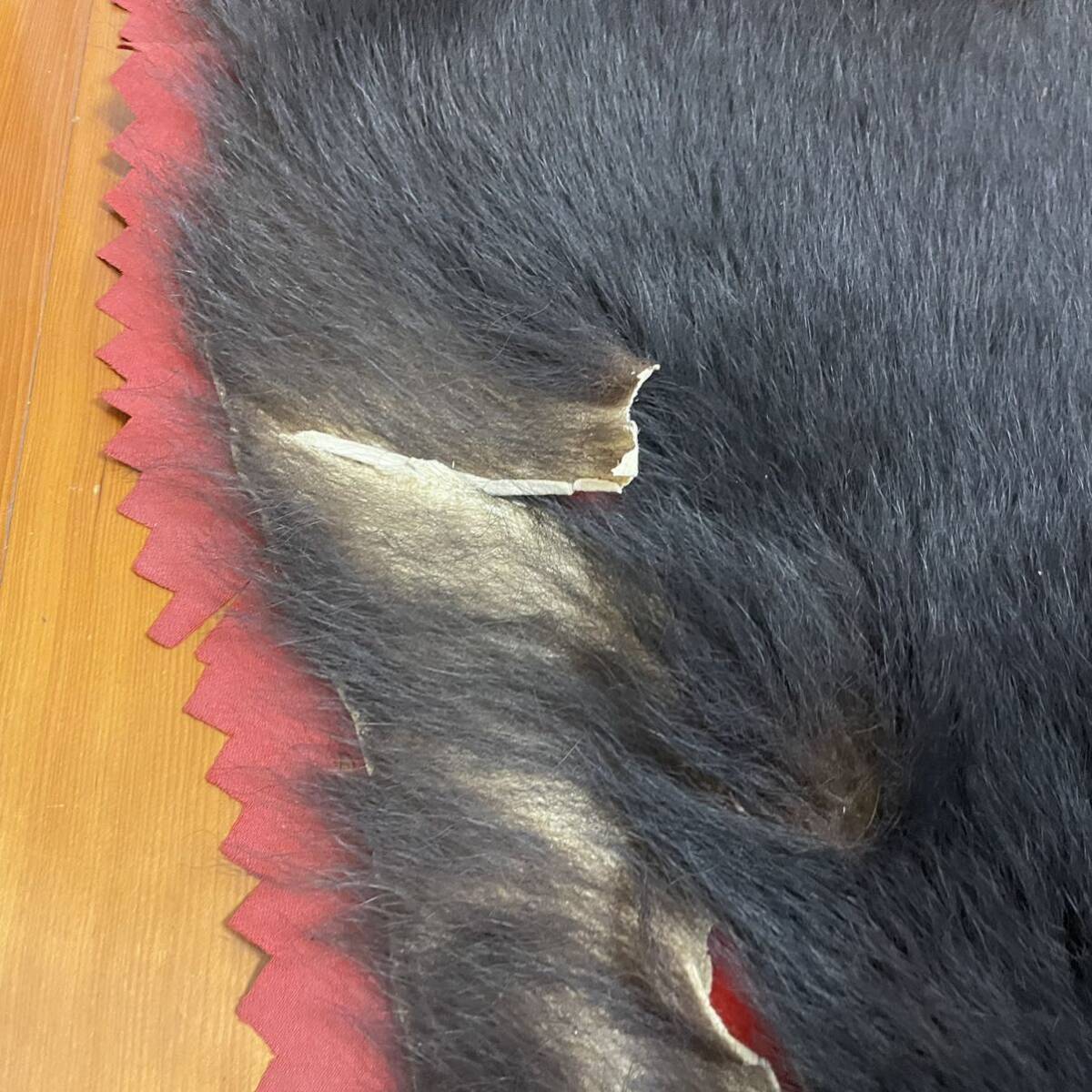 熊 クマ くま 剥製 毛皮 ラグマット 敷物 カーペット インテリア　150×100cm