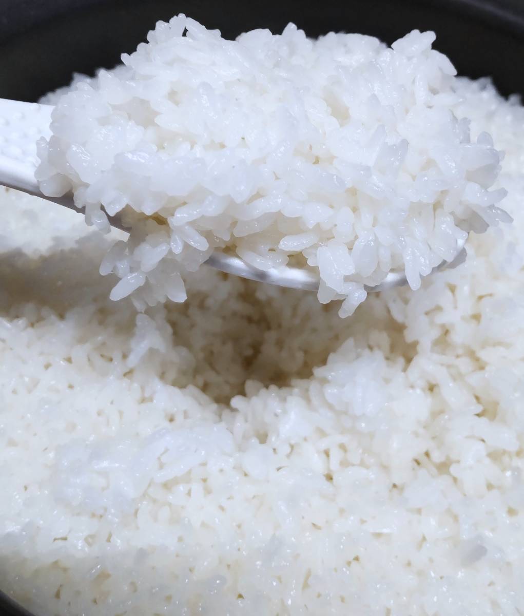 o рис 15....2.3. takkyubin (доставка на дом) compact сельское хозяйство дом прямые продажи американский производство рис белый рис Kumamoto префектура производство Kikuchi производство Hino hikari .. .... рис . мир 5 год 2023 год .. минут 