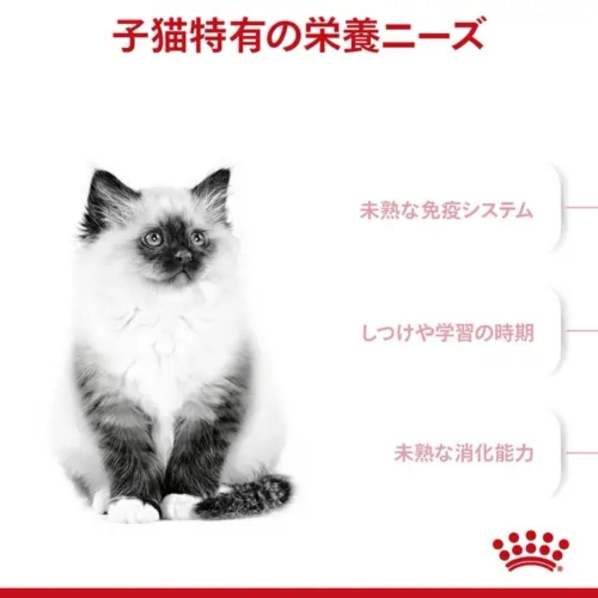 【新品】ロイヤルカナン　猫　キトン　成長後期の子猫用　12ヵ月まで　2kg
