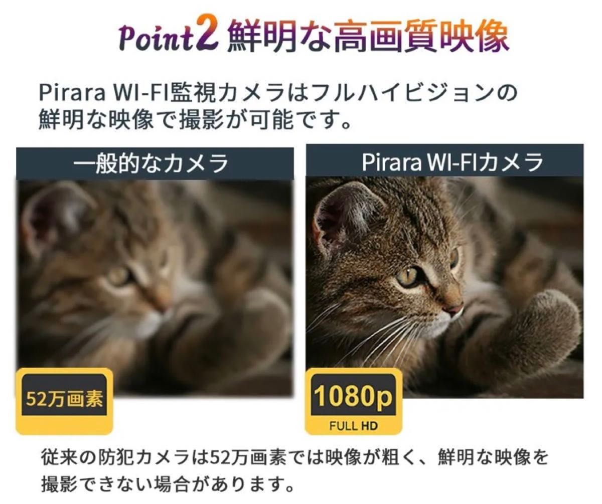 PN-A20A1ネットワーク式防犯カメラライブカメラ遠隔監視見守りWi-Fi