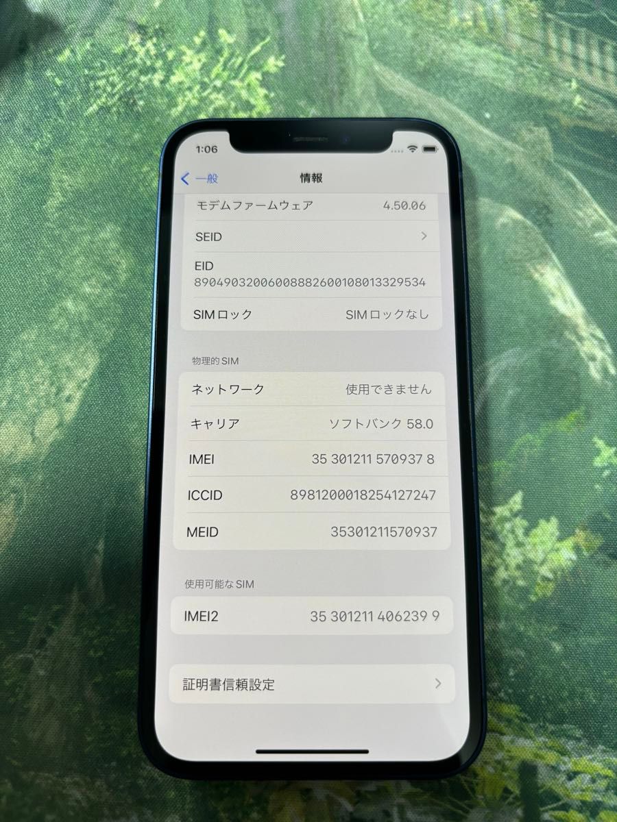 iPhone12 mini 64gb ブルー SIMフリー