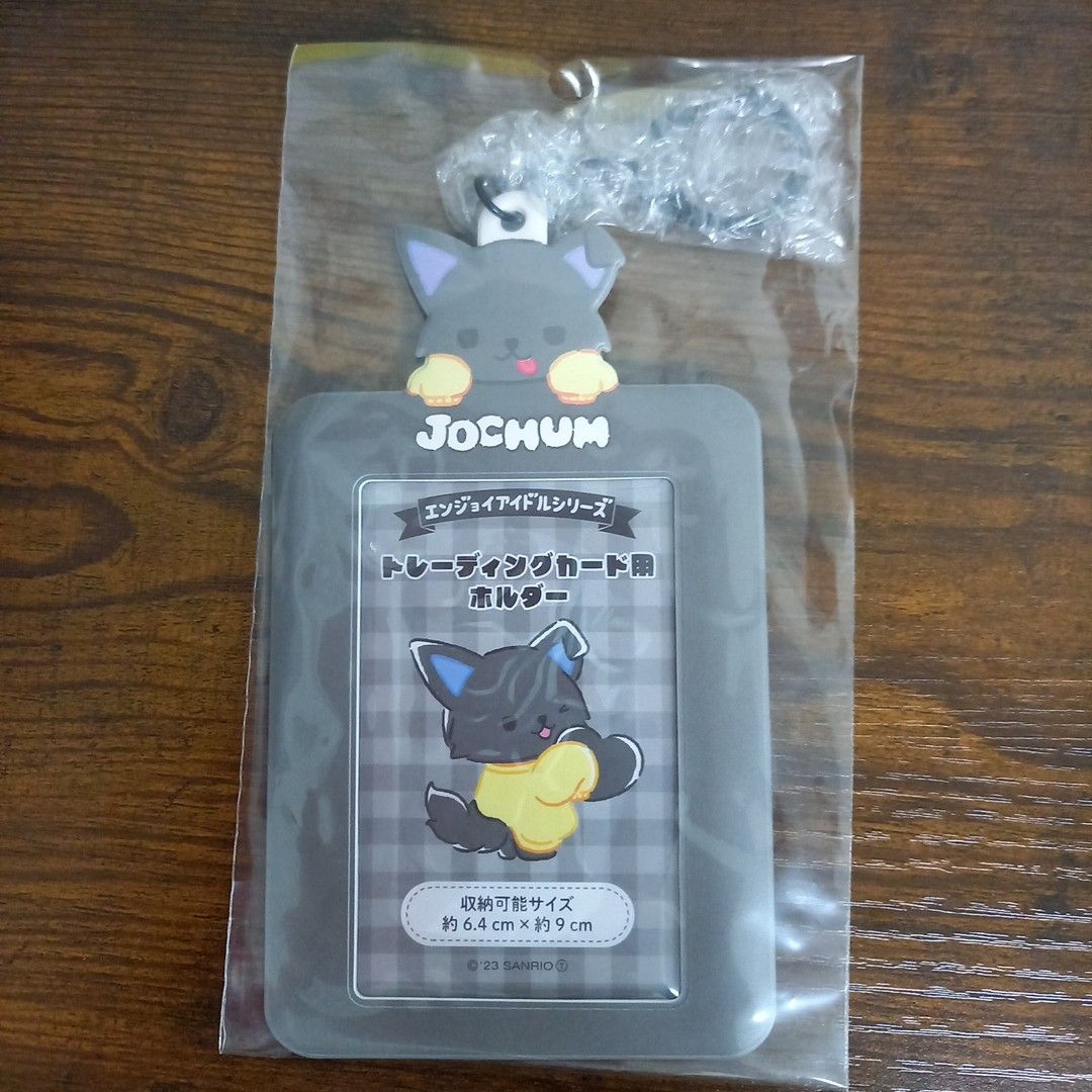 公式　JO1×サンリオ JOCHUM【ピーハイ.金城碧海】 トレカケース