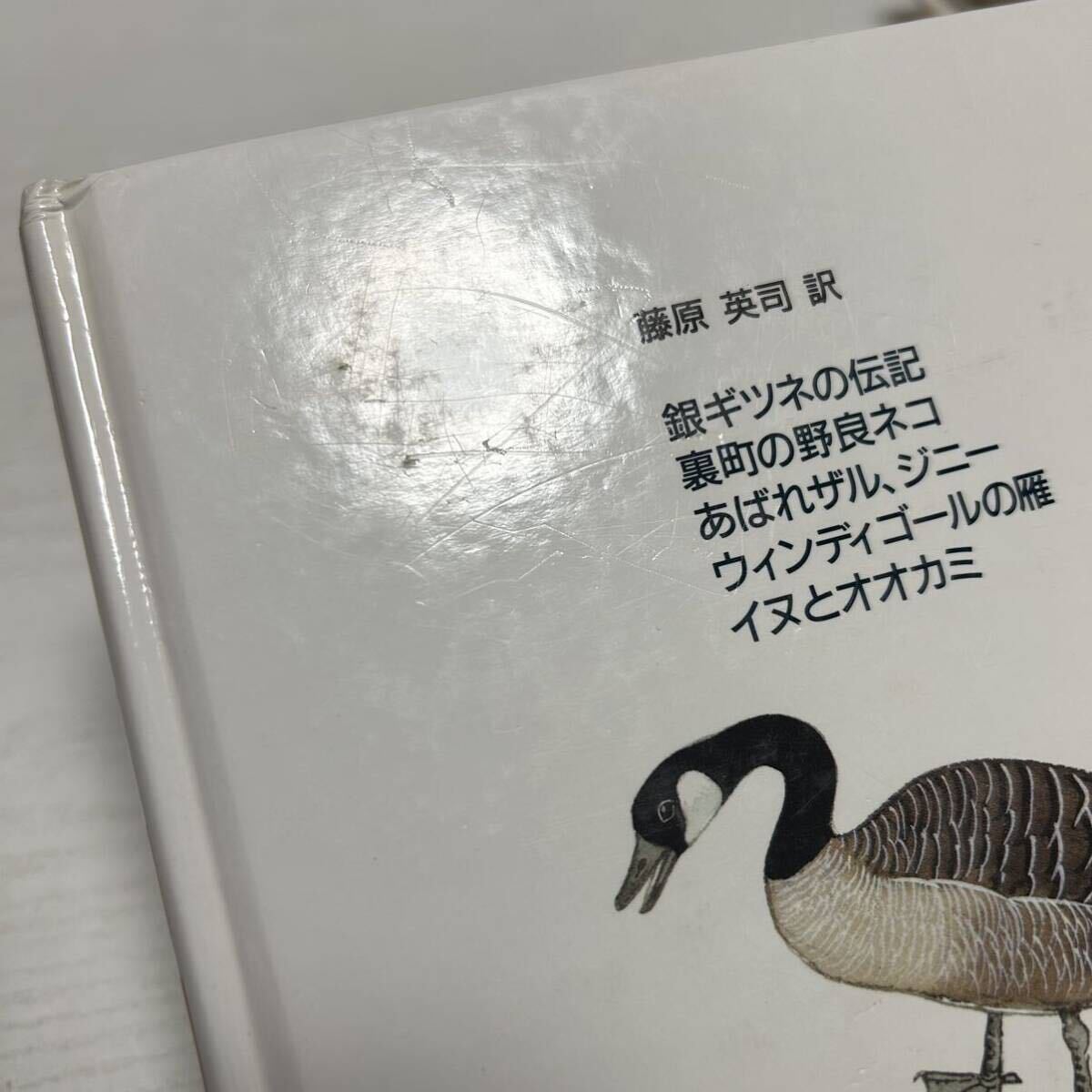 シートン動物記 全巻セット 全8巻+ 別巻 シートン伝記 集英社 児童書 【送料込・即決価格！】_画像4