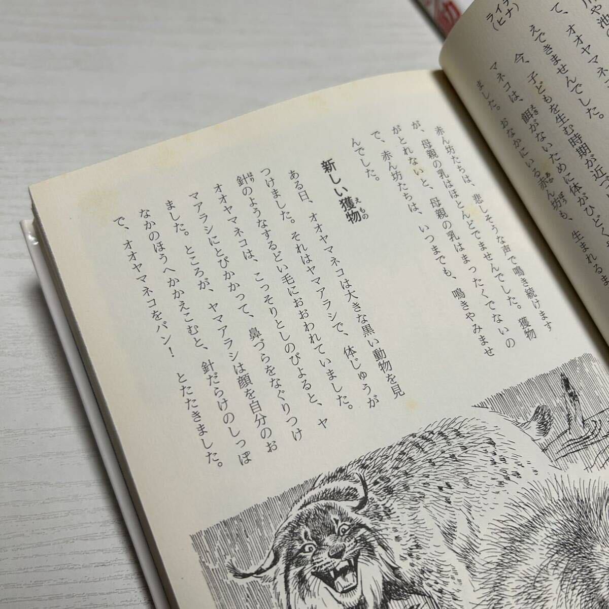 シートン動物記 全巻セット 全8巻+ 別巻 シートン伝記 集英社 児童書 【送料込・即決価格！】_画像5