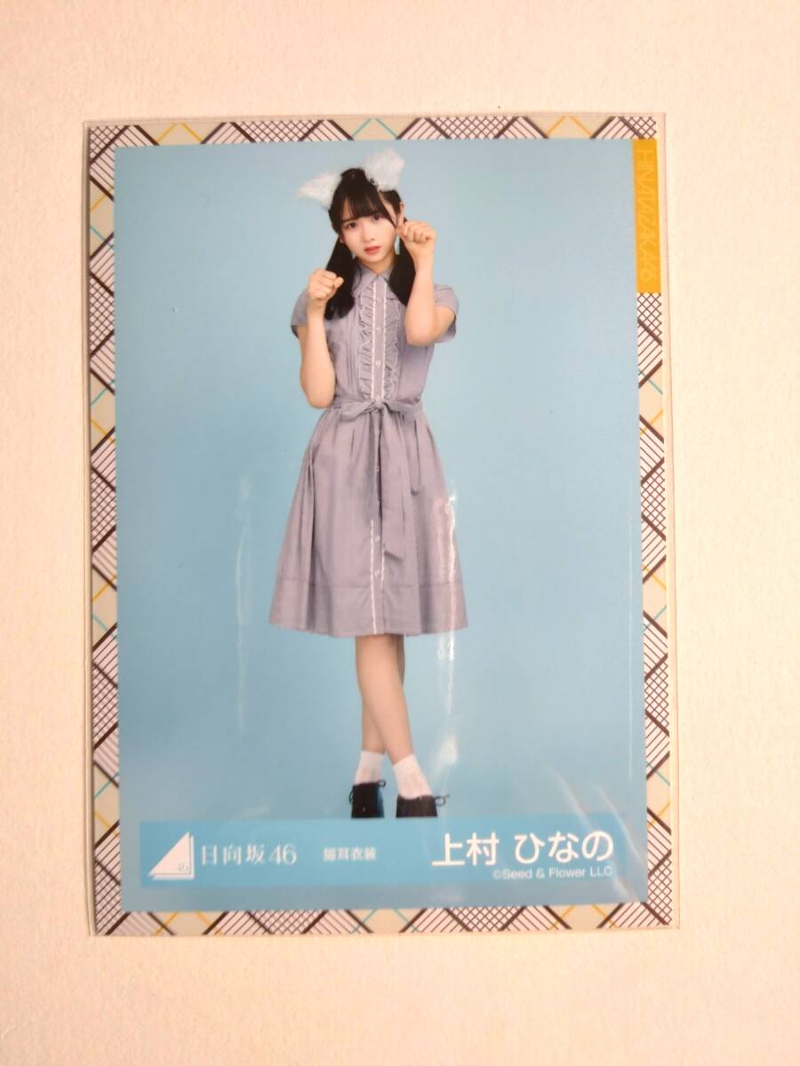 【上村ひなの】【検品済】猫耳衣装 ひき【まとめ発送可】日向坂46 生写真 グッズの画像1