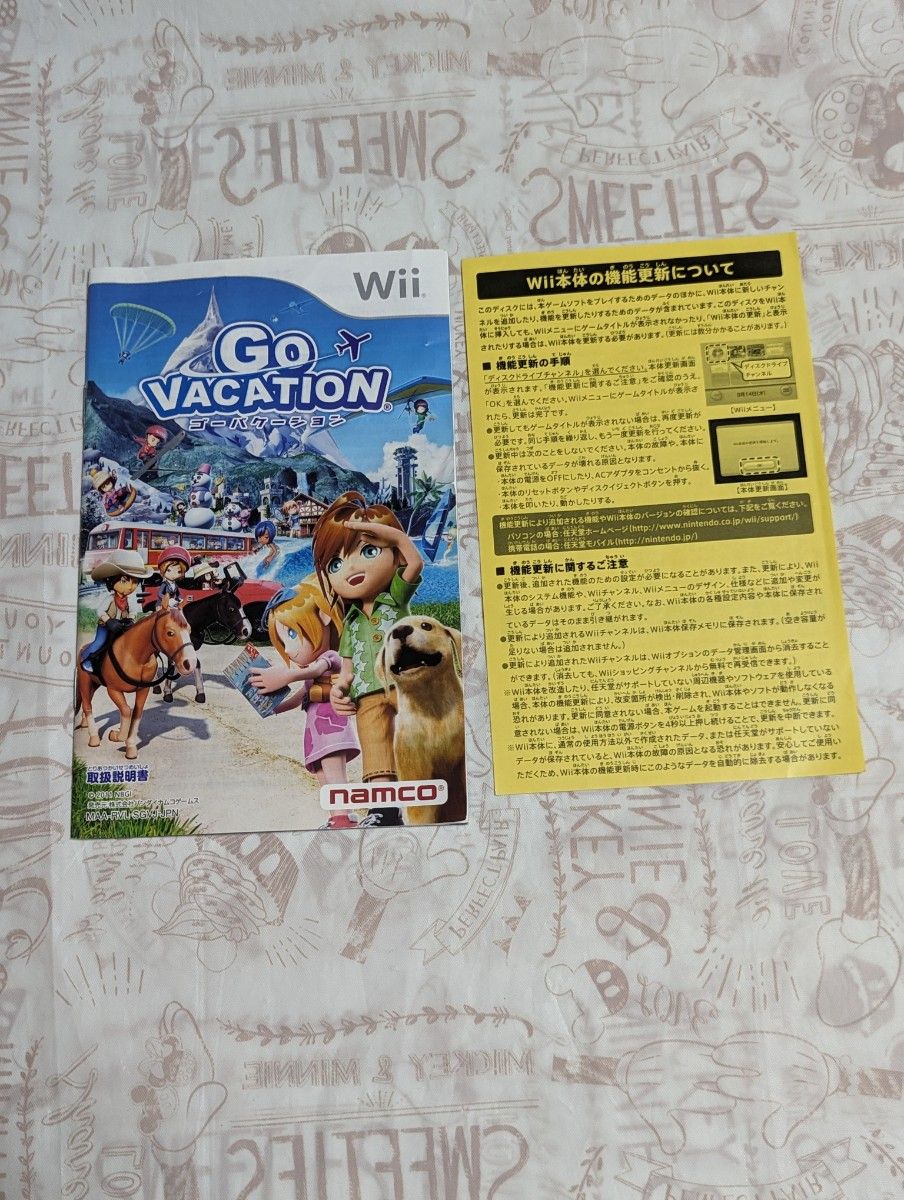 Wii　 GO VACATION　 ゴーバケーション