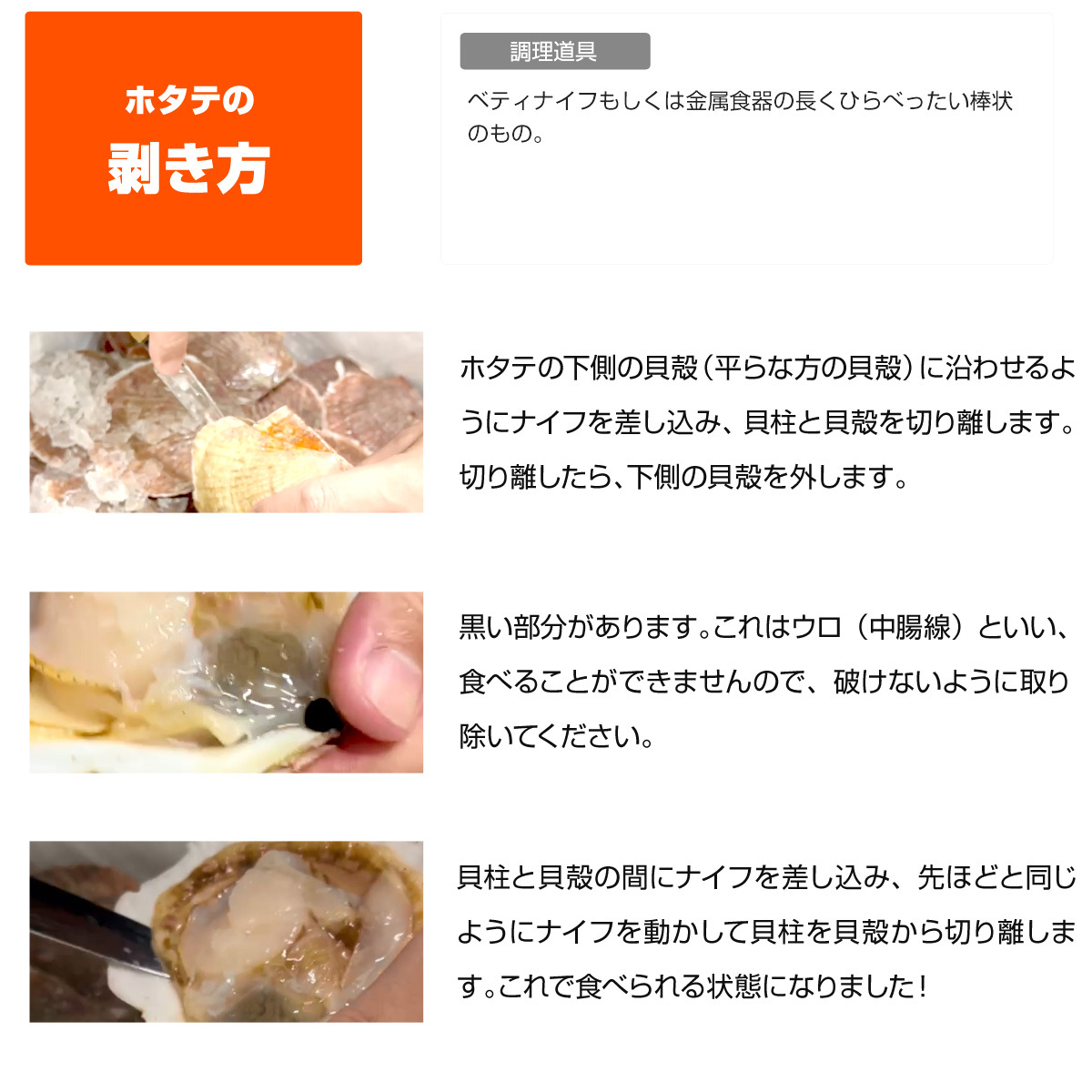 [ Hokkaido production ] scallop 1kg |.. district 4~6 sheets degree freezing both . scallop ... attaching scallop . attaching scallop Hokkaido production .. Bon Festival gift Father's day gift 