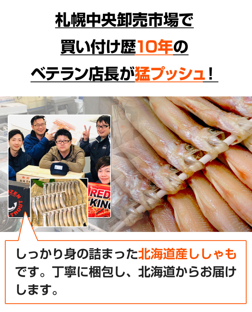  Hokkaido production book@.... female 30 tail postage 0 jpy genuine article ... if ... shishamo smelt Shishamo. leaf fish road production .... dried food fish . middle origin Bon Festival gift Father's day 