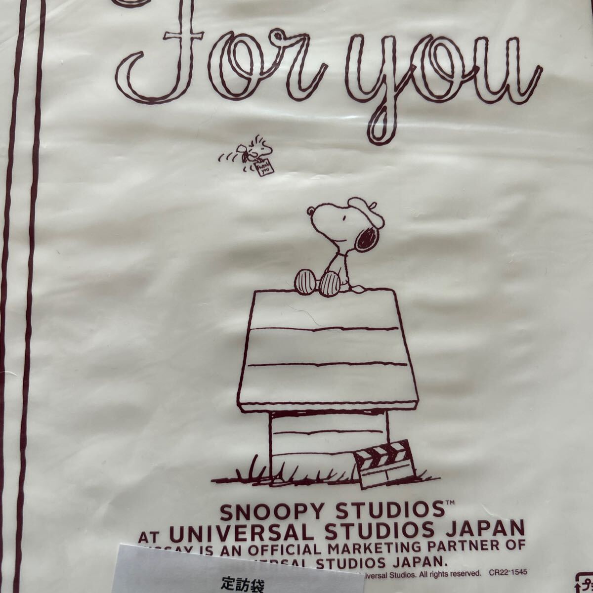  new goods unused vinyl .. sack 10 sheets SNOOPY universal Studio Japan Snoopy Japan life not for sale NISSAY