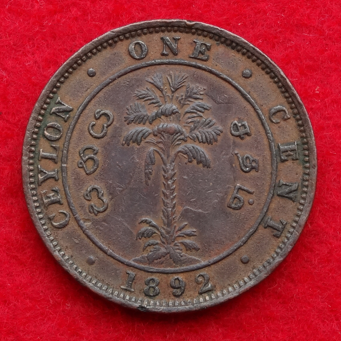 ◎1892年 イギリス領セイロン ヴィクトリア女王 1セント銅貨_画像2