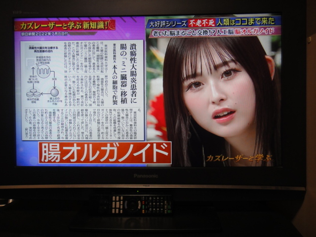 panasonic TH-32LX80-H ビエラ 32V型液晶テレビ　B-CASカード、リモコン付き_画像3