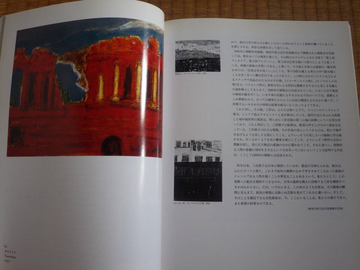 図録　三岸節子展　1990　日本が誇る女流静物画家　時代人間からの強烈なメッセージ　８２点解説　年譜　匠秀夫　ロジョ・ブイヨ_画像8