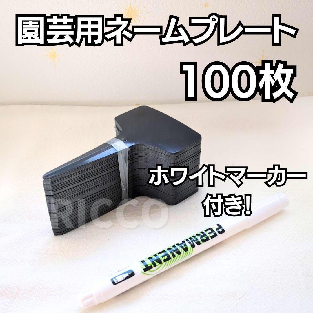 園芸ラベル T字型 プレート 100枚 ホワイトマーカー付き ブラック 名札 名前 プランツタグ まとめ売り 多肉植物 ラベル _画像1