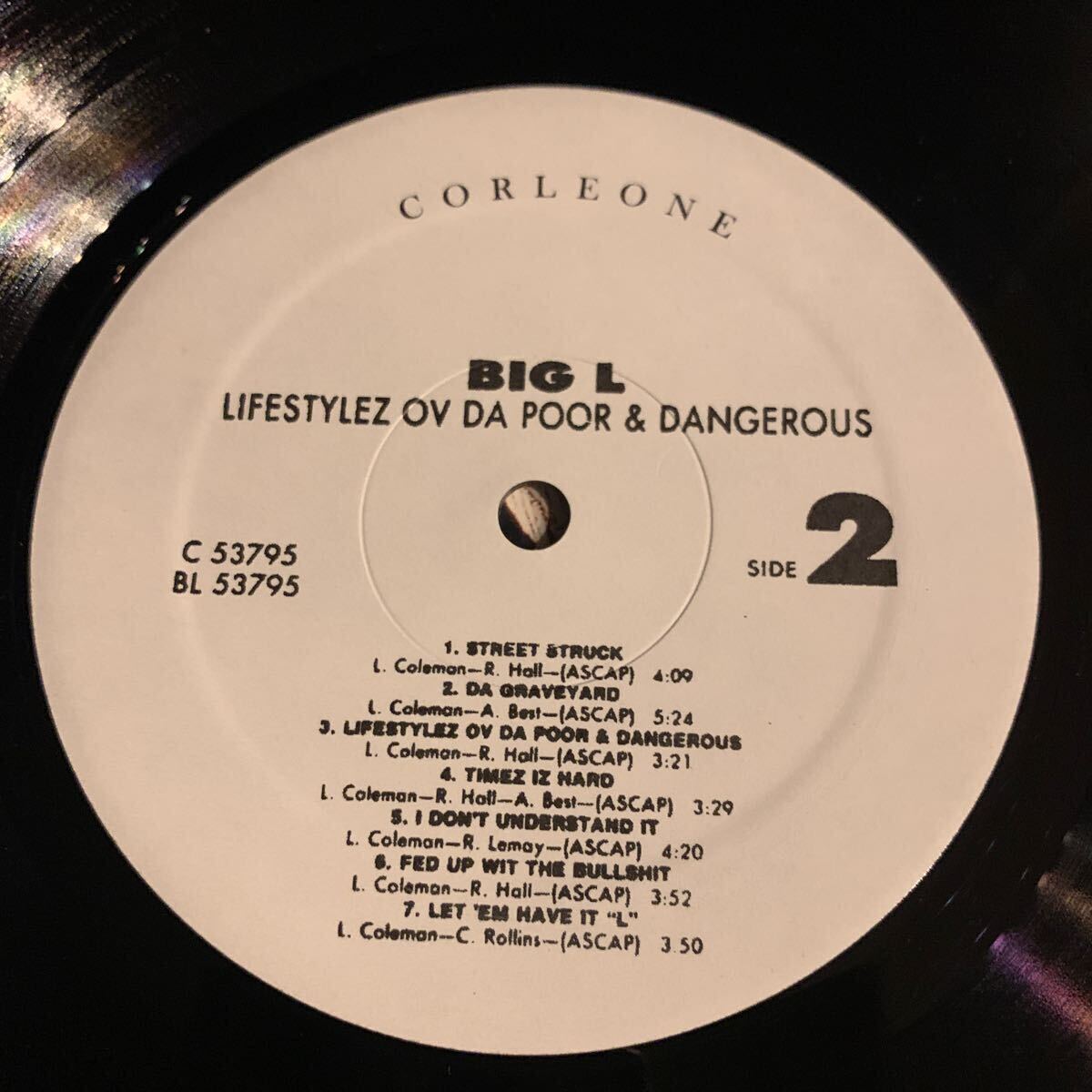 Big L Lifestylez Ov Da Poor & Dangerous LP DITC SHOWBIZ LORD FINESSE BUCKWILDの画像6
