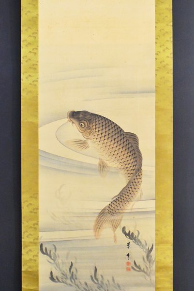 春山 鯉図 掛け軸 骨董品 古美術 K3588 真作 吉田董峰「鯉魚図」絹本 共箱 肉筆 今尾景年師事