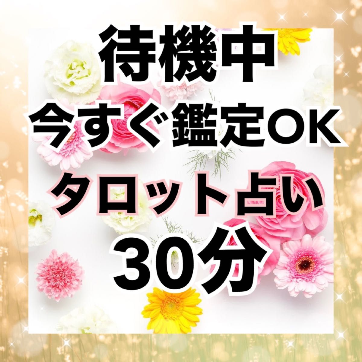 待機中★タロット占い★30分聞き放題