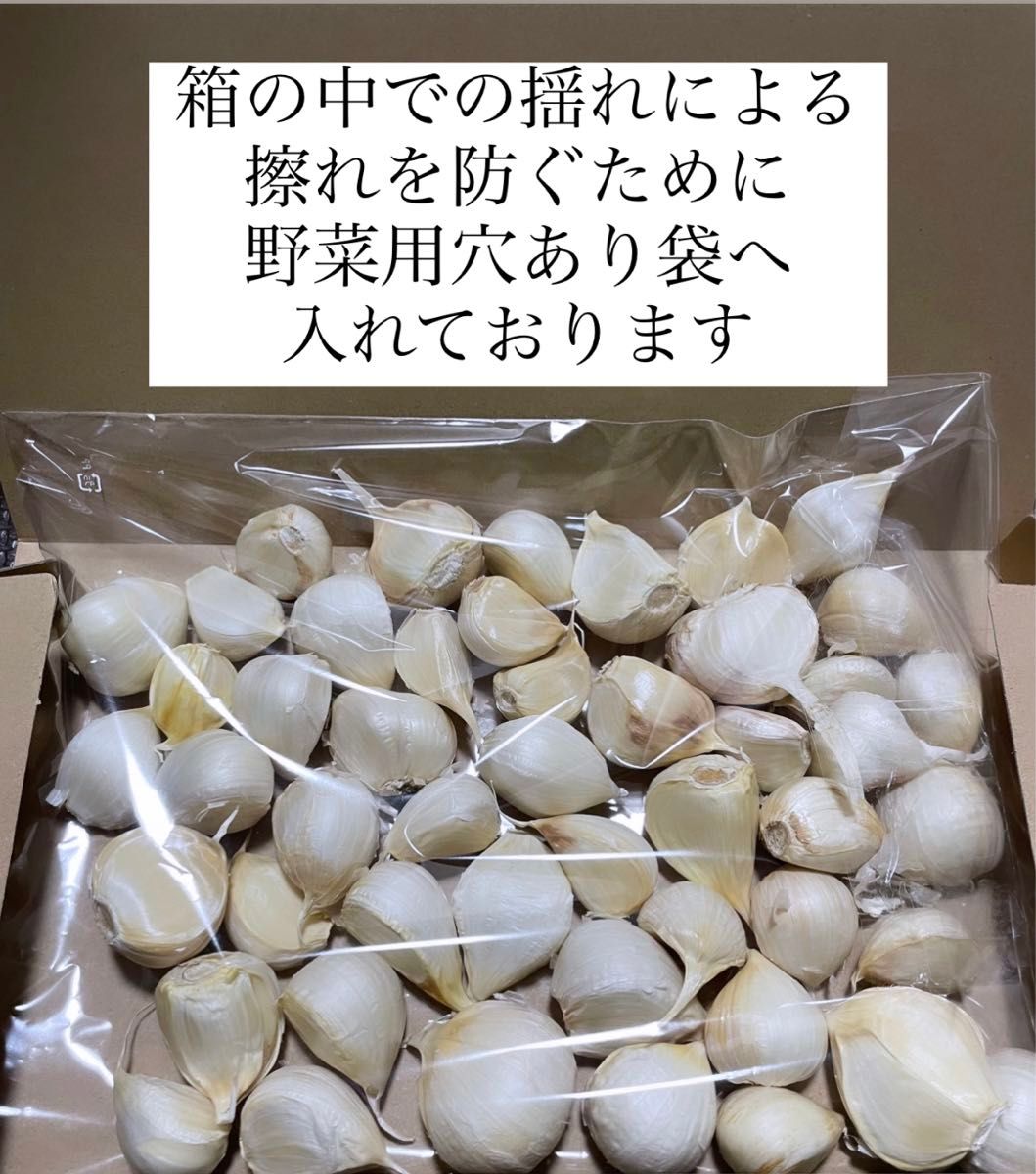 令和5年度 新物 『  少量パック』 青森県産 ホワイト六片 ニンニク 大きめ バラ 500g