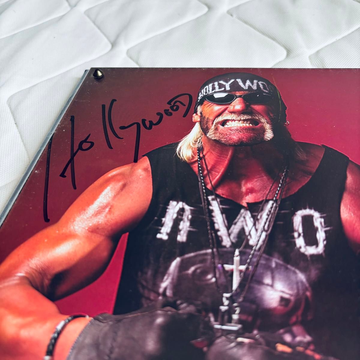 激レア】WCW ハルクホーガン サイン入りプレート ハリウッド 激レア】WCW ハルクホーガン サイン入りプレート ハリウッド