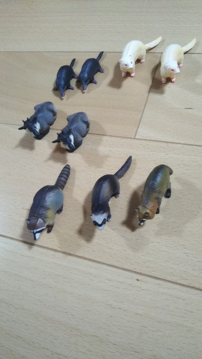 即決 タヌキ フェレット モグラ その他 チョコエッグ フルタ 在庫  8 個 価値不明 ばら売り1個値段_画像2