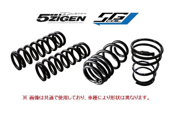 新品 5次元 5Gコイル ダウンサス(1台分) アルファード GGH30W 2WD H27/1~ 5GTD036