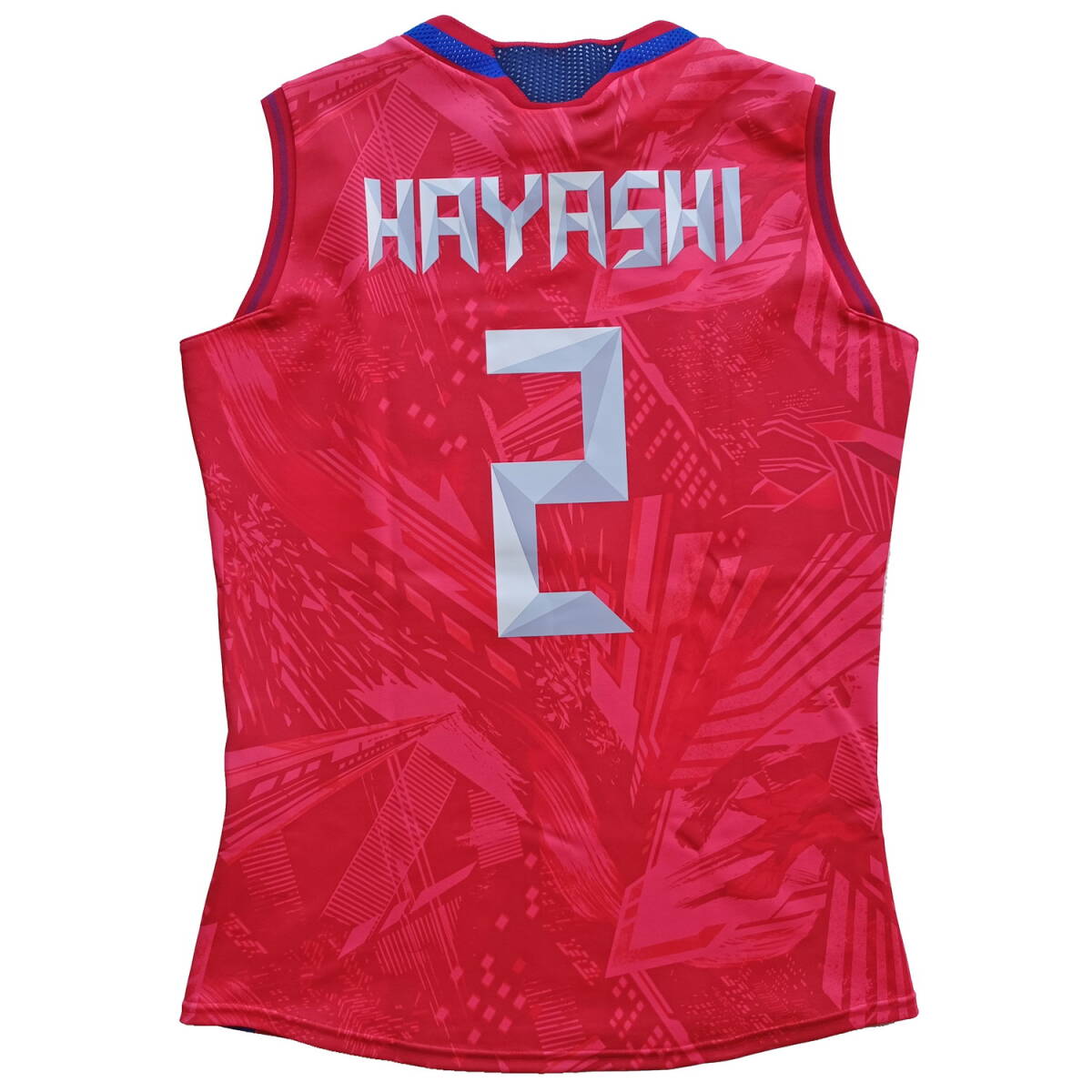 火の鳥nippon 林琴奈 選手 ワールドカップバレー2023 火の鳥nippon 林琴奈 選手 ワールドカップバレー2023