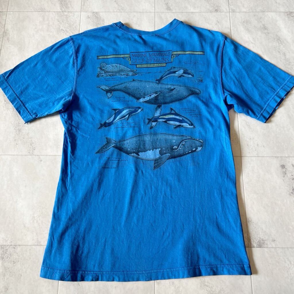 90s L.L.Bean エルエルビーン HARBORSIDE GRAPHICS MARINE MAMMALS in the GULF OF MAINE 両面 プリント 半袖Tシャツ