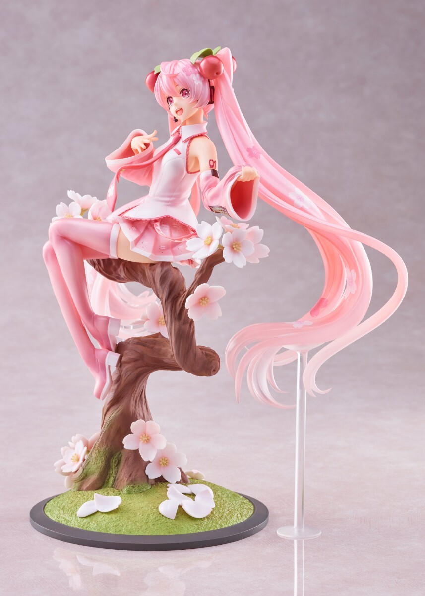 [ new goods unopened ]spili tail Hatsune Miku Sakura Miku Sakura ..ver. 1/7 scale figure tight - Pro daktsu online store limitation 