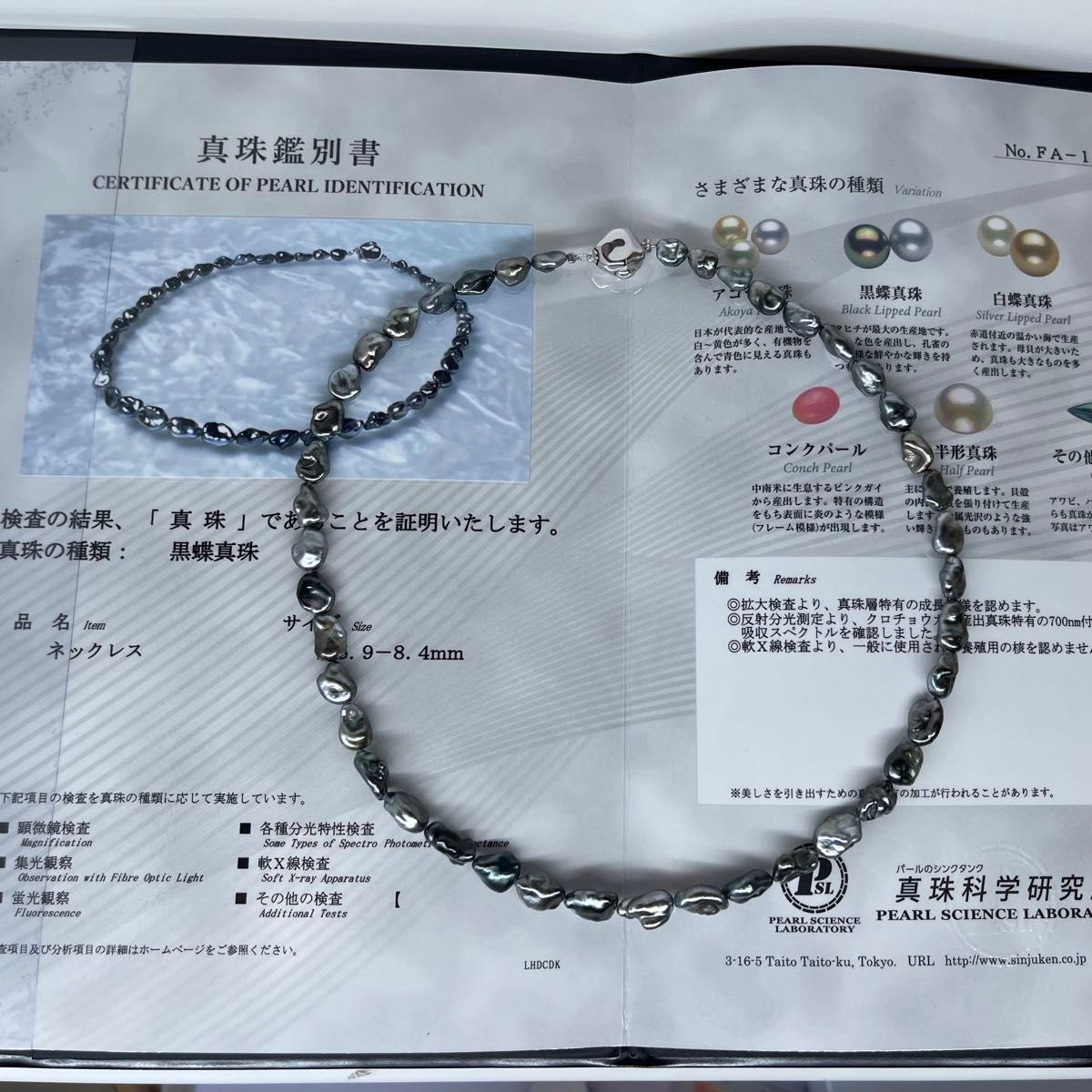 黒蝶ケシパール 黒蝶芥子パール 黒蝶パール 本真珠 ネックレス 黒蝶ケシパール 黒蝶芥子パール 黒蝶パール 本真珠 ネックレス