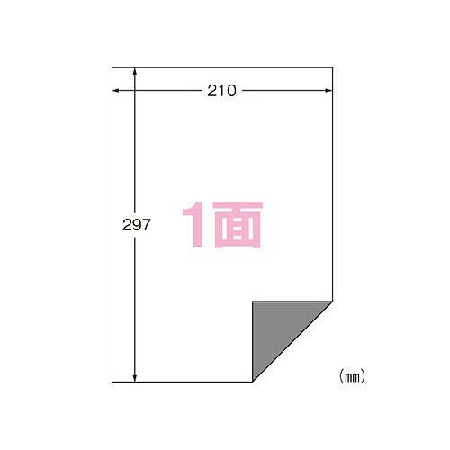 エーワン(A-one) ラベルシール プリンタ兼用 A4 下地がかくせる修正タイプ 入数:1パック(100シート) 31282(50666)