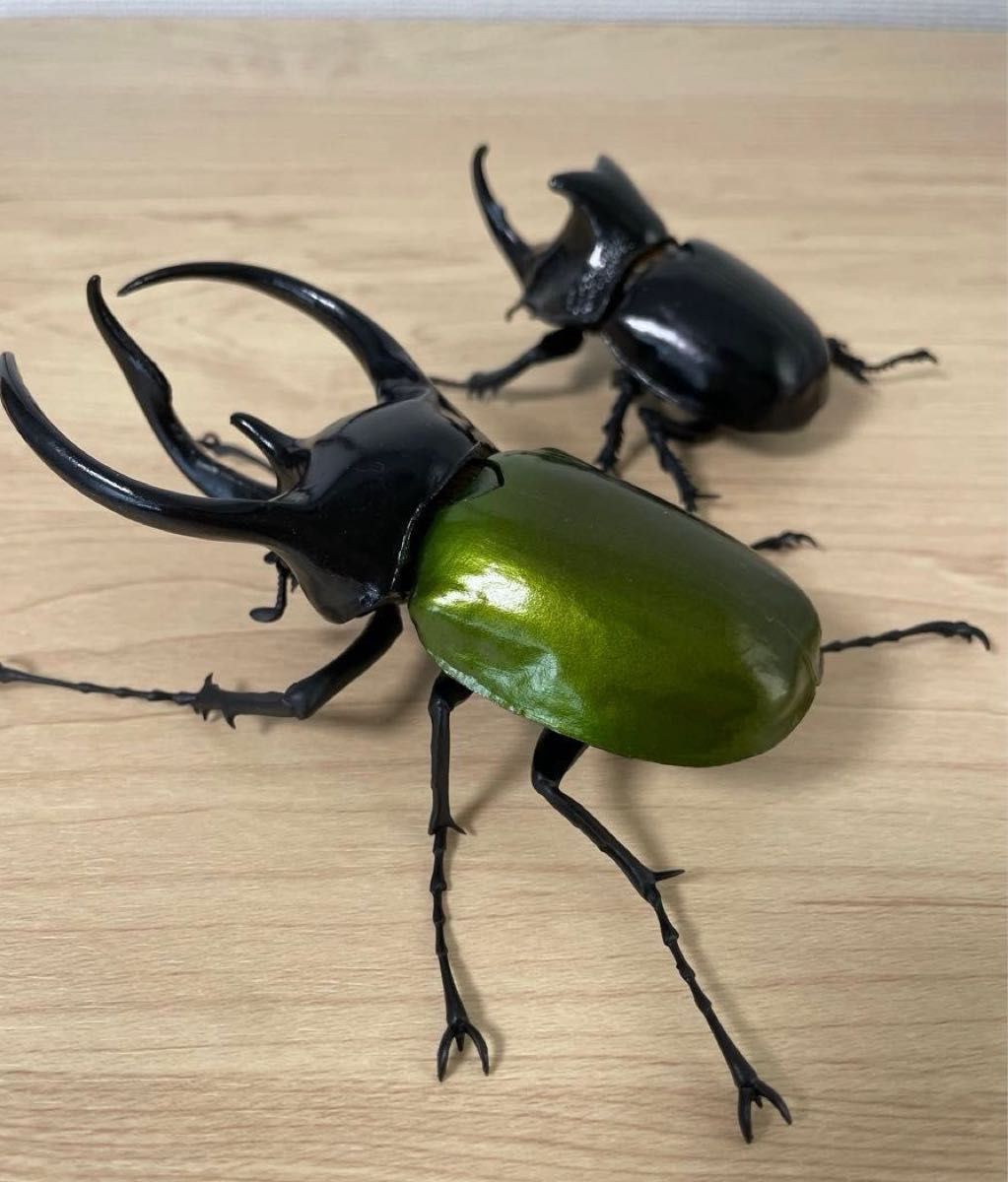 アトラスオオカブト オオツノメンガタカブト いきもの大図鑑 アトラスオオカブト オオツノメンガタカブト いきもの大図鑑
